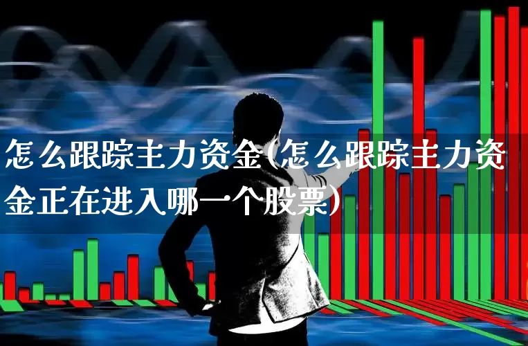 怎么跟踪主力资金(怎么跟踪主力资金正在进入哪一个股票)_https://www.gfdzclz.com_上交所_第1张