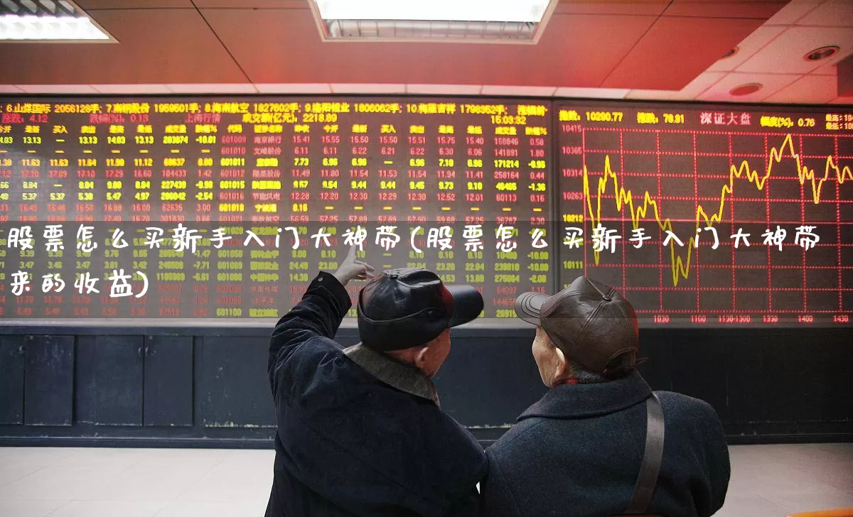 股票怎么买新手入门大神带(股票怎么买新手入门大神带来的收益)_https://www.gfdzclz.com_创业板_第1张