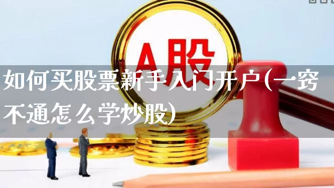 如何买股票新手入门开户(一窍不通怎么学炒股)_https://www.gfdzclz.com_科创板_第1张