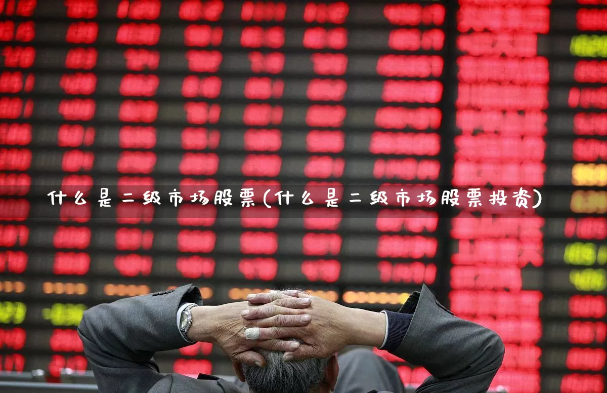 什么是二级市场股票(什么是二级市场股票投资)_https://www.gfdzclz.com_上交所_第1张