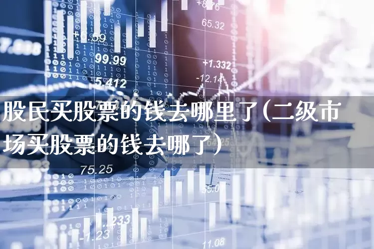 股民买股票的钱去哪里了(二级市场买股票的钱去哪了)_https://www.gfdzclz.com_创业板_第1张