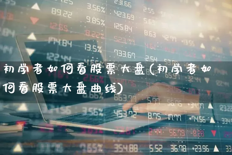 初学者如何看股票大盘(初学者如何看股票大盘曲线)_https://www.gfdzclz.com_北交所_第1张