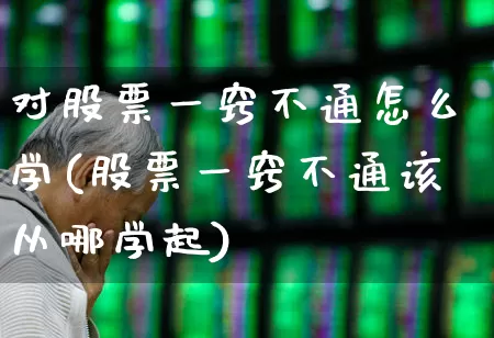对股票一窍不通怎么学(股票一窍不通该从哪学起)_https://www.gfdzclz.com_深交所_第1张