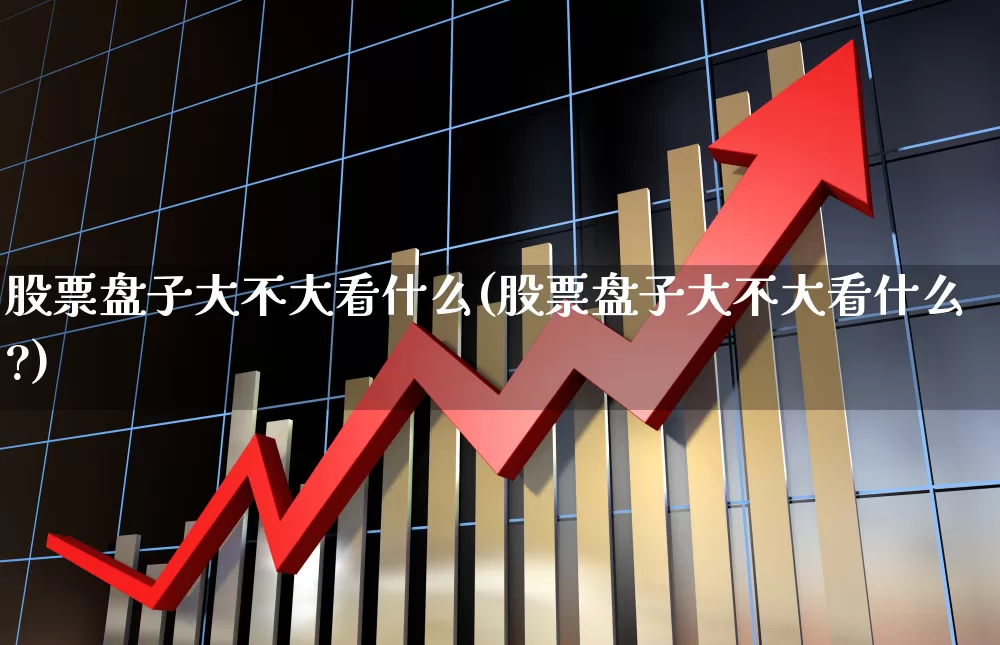 股票盘子大不大看什么(股票盘子大不大看什么?)_https://www.gfdzclz.com_创业板_第1张