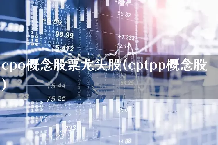 cpo概念股票龙头股(cptpp概念股)_https://www.gfdzclz.com_北交所_第1张