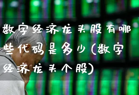 数字经济龙头股有哪些代码是多少(数字经济龙头个股)_https://www.gfdzclz.com_科创板_第1张