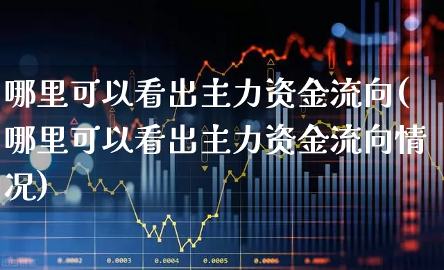 哪里可以看出主力资金流向(哪里可以看出主力资金流向情况)_https://www.gfdzclz.com_创业板_第1张