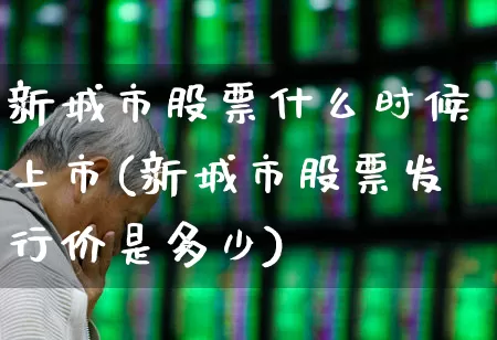 新城市股票什么时候上市(新城市股票发行价是多少)_https://www.gfdzclz.com_北交所_第1张