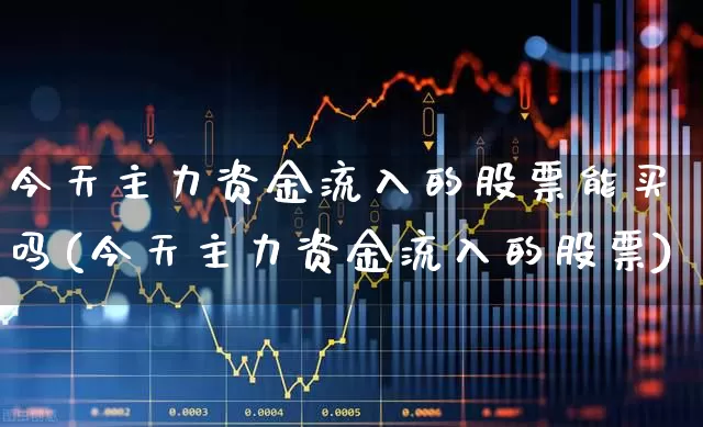 今天主力资金流入的股票能买吗(今天主力资金流入的股票)_https://www.gfdzclz.com_深交所_第1张